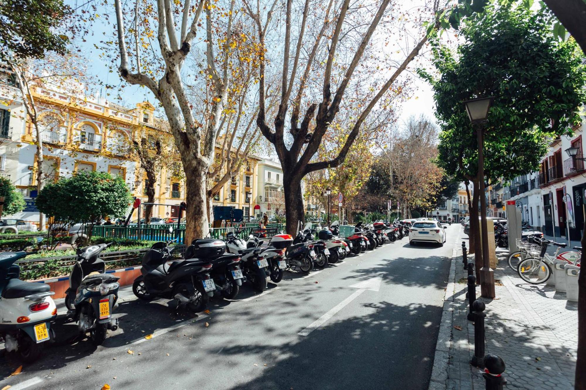 Luxury And Cozy- 1Bd 1Bth- Las Setas Sevilla Exterior foto